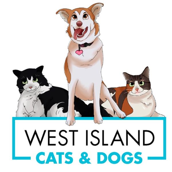 West island cats, montreal, pet care, cat sitting, dog walker, dog training, cooperative care, grooming