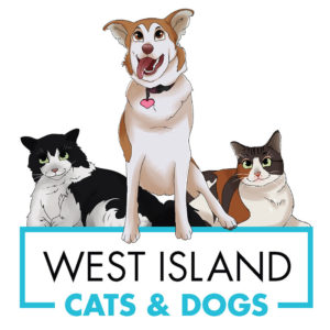 Pet Care by West Island Cats & Dogs; pet sitting, dog walking, dog training, dog walking, cooperative care grooming